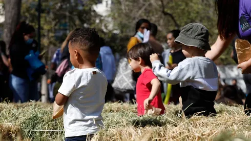 Comienzan los pagos del Subsidio Protege mes de mayo.