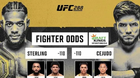 Aljamain Sterling es el vigente campeón del peso Gallo en la UFC.