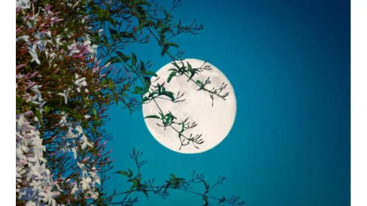 Calendario lunar 2023