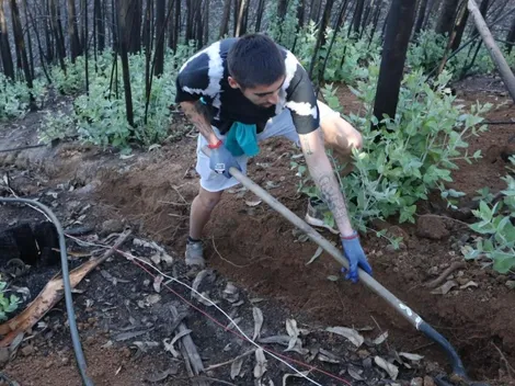 ¡Manos a la obra! El puntero del fútbol chileno ayuda a Tomé