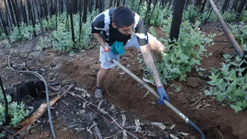 El arquero Gabriel Castellón y sus compañeros se pusieron manos a la obra para construir un canal de agua en Tomé.