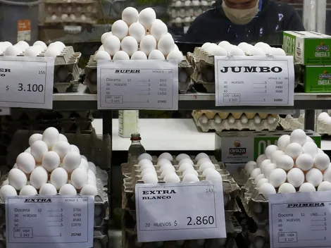 Productores de huevo piden medidas por gripe aviar