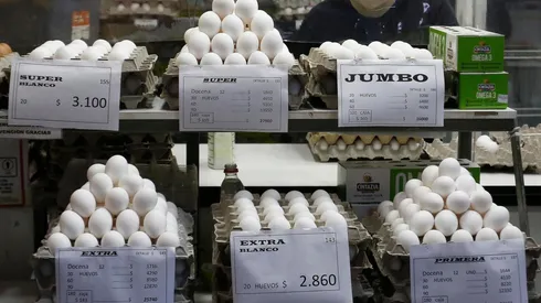 Productores de huevo piden medidas por gripe aviar