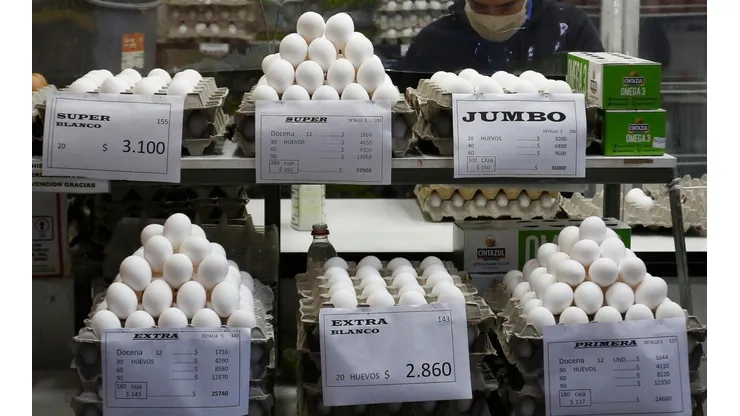Productores de huevo piden medidas por gripe aviar