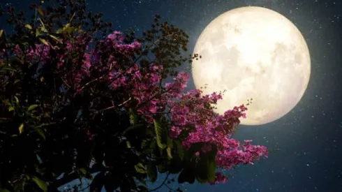 Luna de las flores 2023