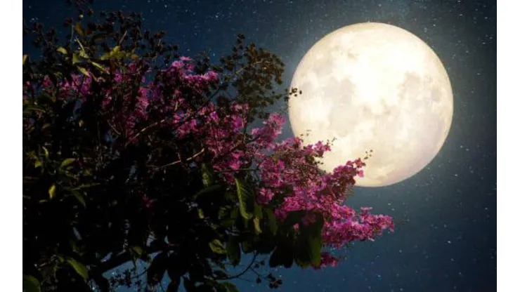Luna de las flores 2023