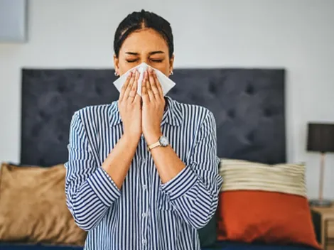 ¿Cómo descongestionar mi nariz con remedios caseros?