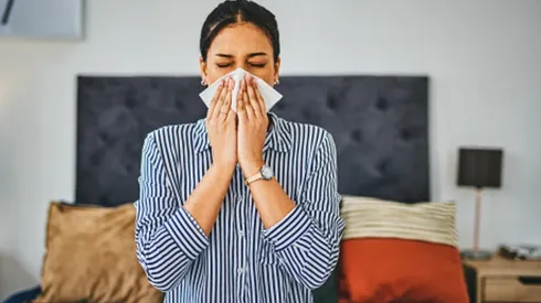 ¿Cómo descongestionar mi nariz con remedios caseros?
