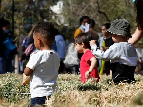 Subsidio Protege comienza los pagos ¿Ya tienes el pago de 200 mil pesos?