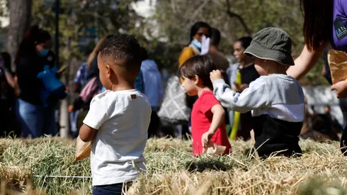 Conoce los detalles del pago de abril.