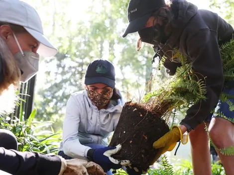 ¿Cuándo es el Día de la Tierra y por qué se conmemora?