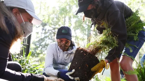 ¿Cuándo es el Día de la Tierra y por qué se conmemora?