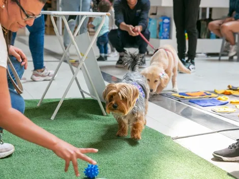 ¿Cuándo y dónde es la Expo Guau para mascotas y a qué hora empieza?