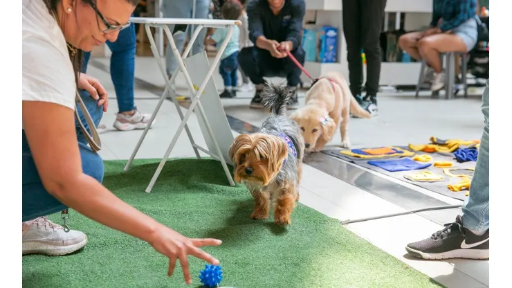¿Cuándo y dónde es la Expo Guau para mascotas y a qué hora empieza?