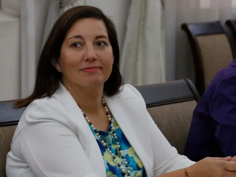 ¿Quién es Paulina Vodanovic?