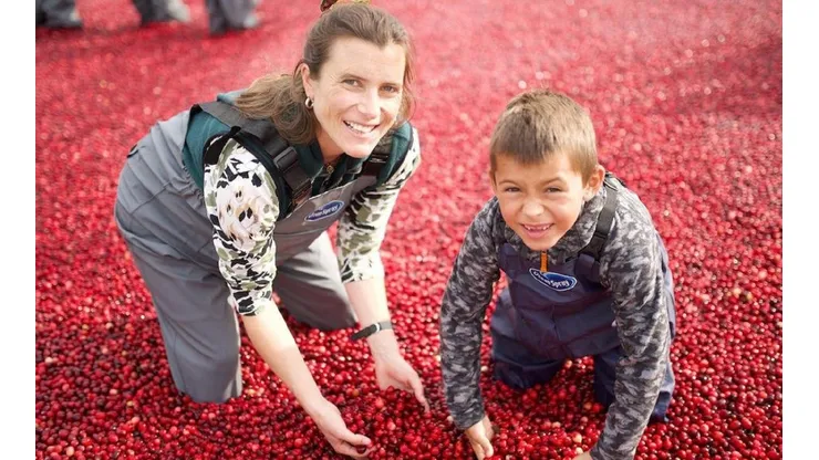 Piscina de cranberries