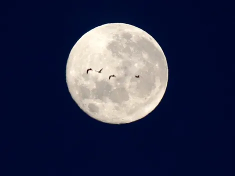 ¿Cómo saber cómo estaba la Luna el día que nací?