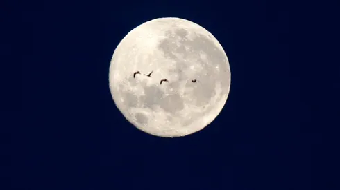 Conoce qué significa la Luna el día de tu nacimiento