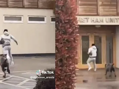 Jugador del West Ham escapa aterrado de un perro y salva su vida