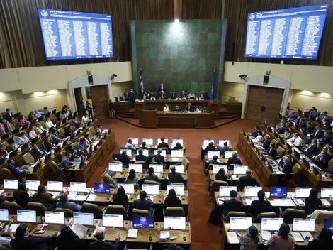 El Reglamento del uso de la fuerza que propone el Gobierno