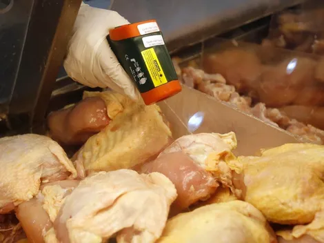 ¿Puedo comer pollo o pescado para Semana Santa?