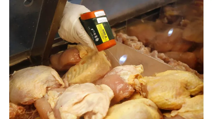 ¿Puedo comer pollo o pescado para Semana Santa?