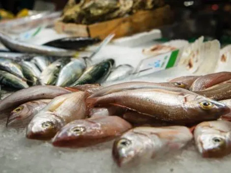 ¿Qué día no se puede comer carne en Semana Santa?