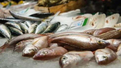 ¿Qué día no se puede comer carne?