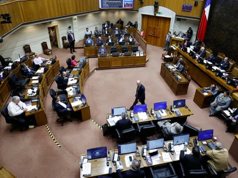 Resultado de la votación de ley Naín - Retamal