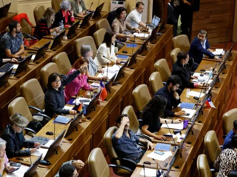 ¿Hay problemas en el Congreso con la Ley Naín-Retamal?