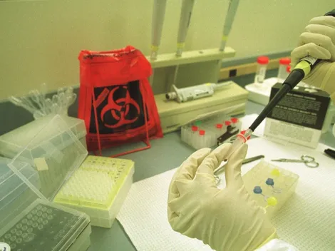 Avanza en el Senado la prohibición de clonar personas