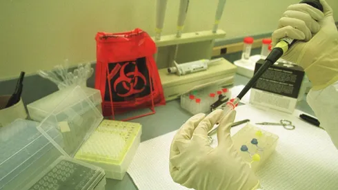 Avanza en el Senado la prohibición de clonar personas