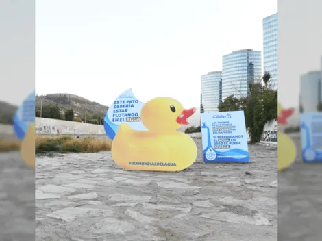 Día Mundial del Agua comienza con un pato de hule en el río Mapocho