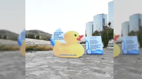 Día Mundial del Agua comienza con un pato de hule en el río Mapocho