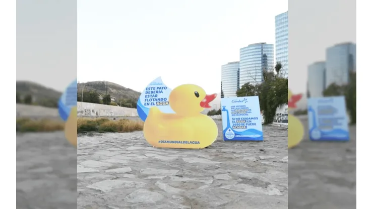Día Mundial del Agua comienza con un pato de hule en el río Mapocho