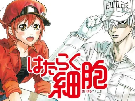 ¡El anime Cells al Work tendrá una película live action!
