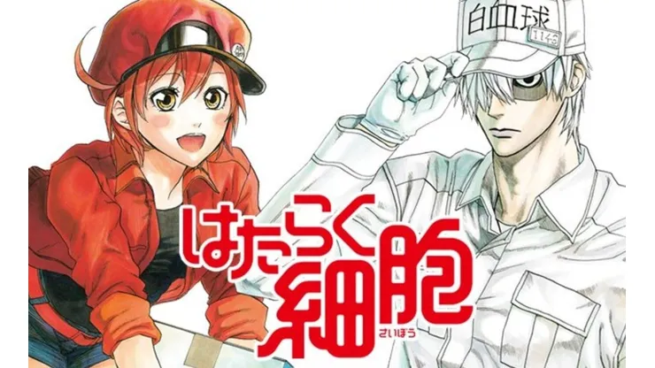 ¡El anime Cells al Work tendrá una película live action!