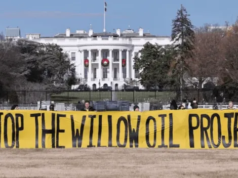 ¿Qué es el Proyecto Willow?