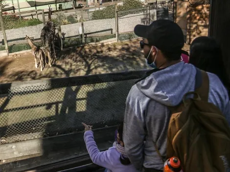 Conoce cuáles son los panoramas que ofrece Parquemet en verano