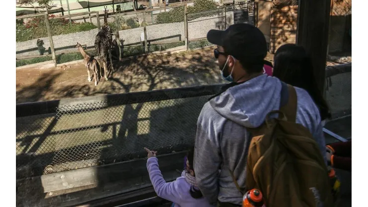 Conoce cuáles son los panoramas que ofrece Parquemet en verano