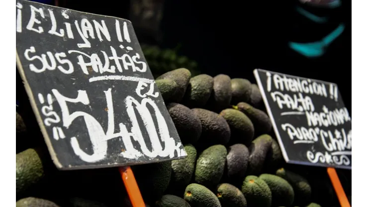 Precio de la palta seguirá aumentando