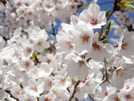 Horóscopo del miércoles 15 de marzo del 2023