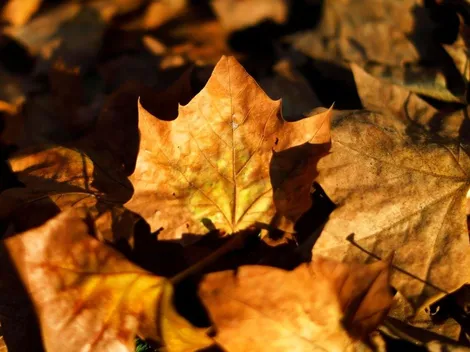 ¿Cuándo se termina el verano y empieza el otoño en Chile?