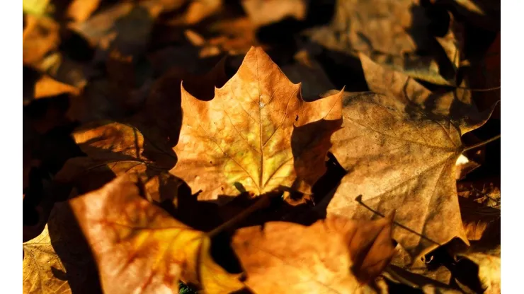 ¿Cuándo se termina el verano y empieza el otoño en Chile?