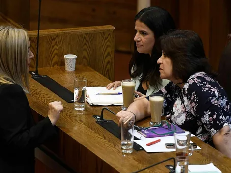 Gobierno cataloga "de oposición" a Pamela Jiles