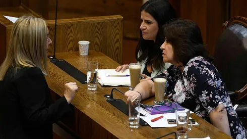 Gobierno cataloga "de oposición" a Pamela Jiles