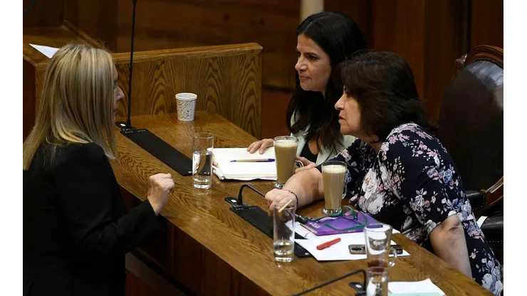 Gobierno cataloga "de oposición" a Pamela Jiles