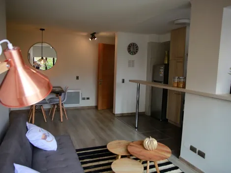 Resultados del Subsidio DS49 ya están disponibles