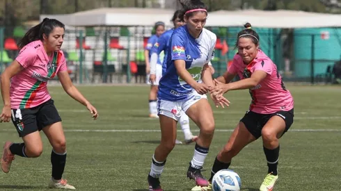 ¿Qué dice el dictamen de la DT sobre el Campeonato Femenino?