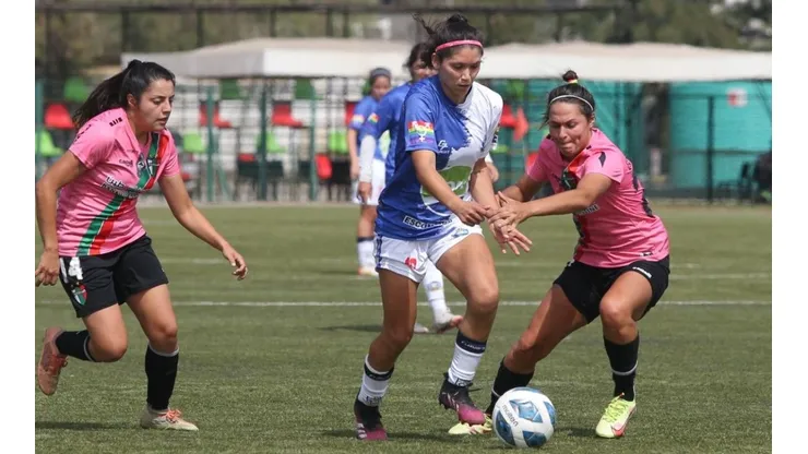¿Qué dice el dictamen de la DT sobre el Campeonato Femenino?